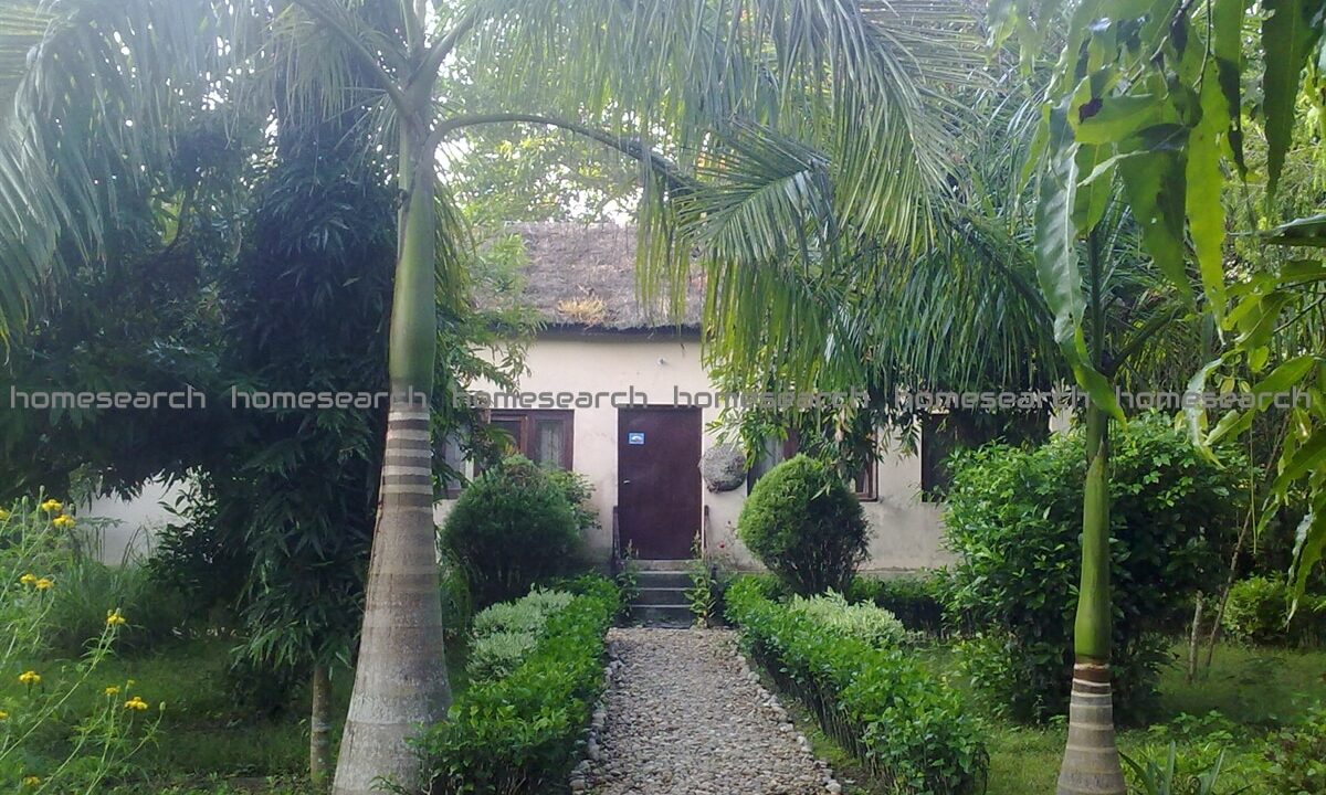Bardiya-national-park-hotel-3