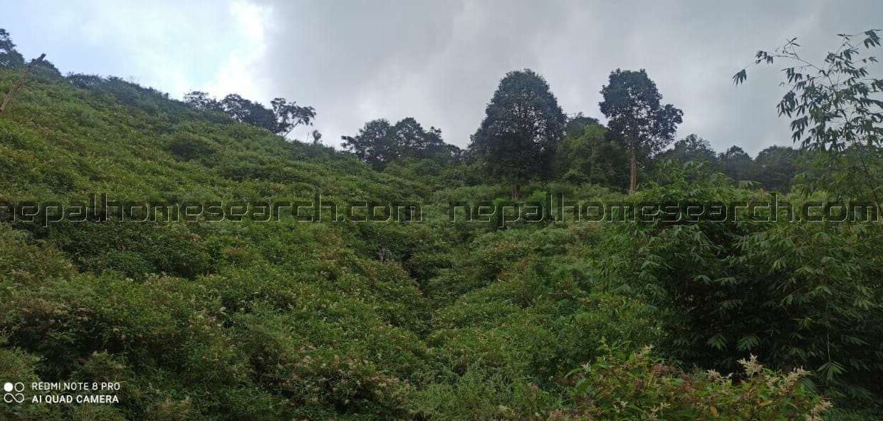 Nagarkot-land-sale-88