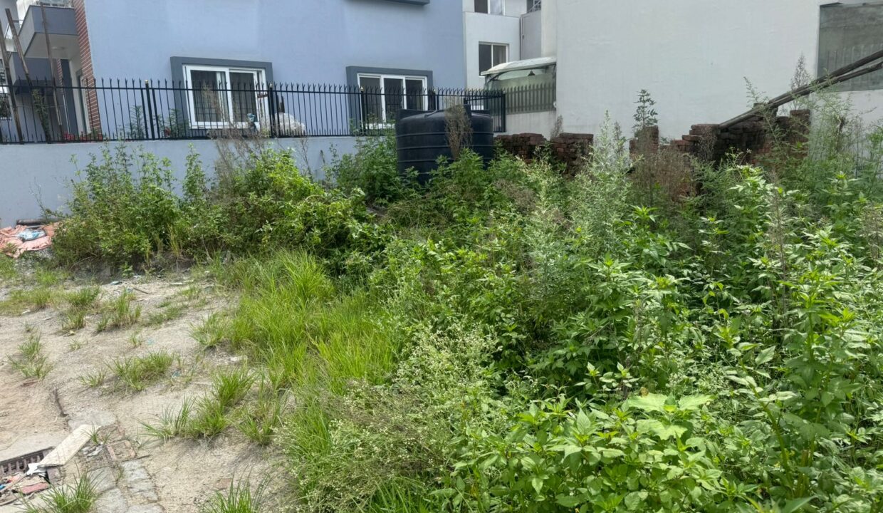 WhatsApp Image 2024-09-23 at 1.52.51 PM (2)